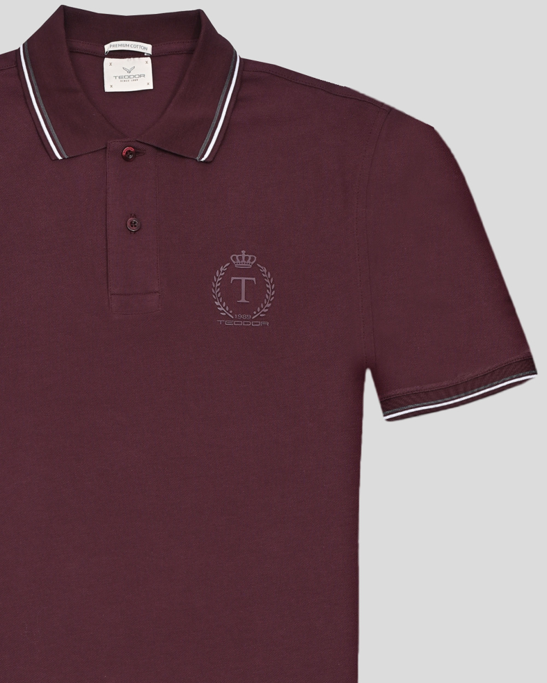TRICOU POLO BORDO 250110131777-4 05