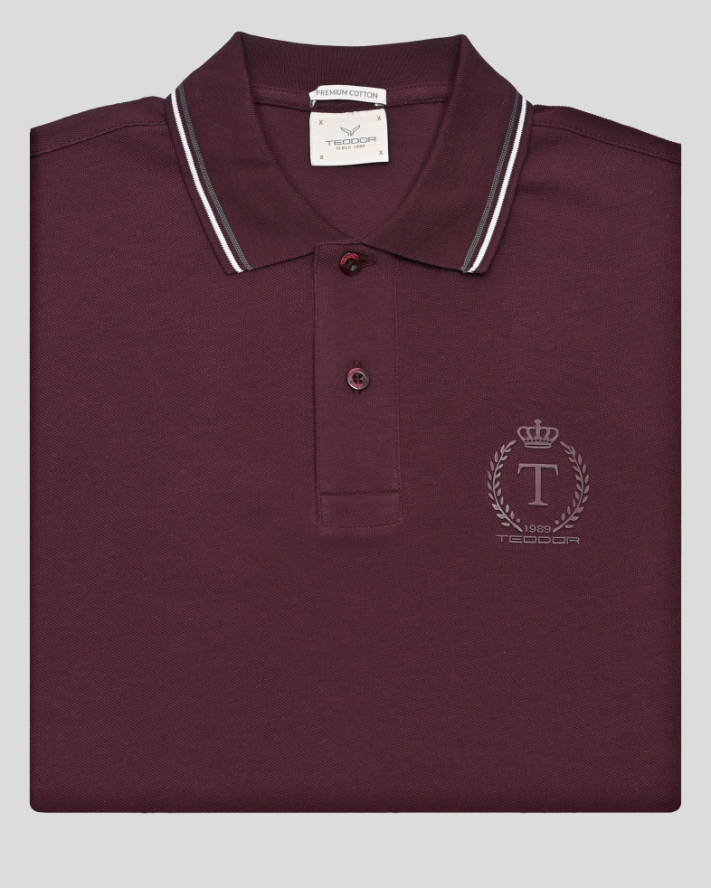 TRICOU POLO BORDO 250110131777-4 06