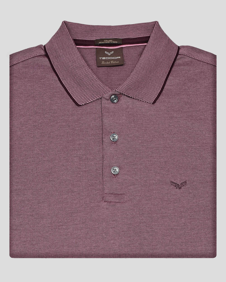 TRICOU POLO BORDO 250110131799-7 06