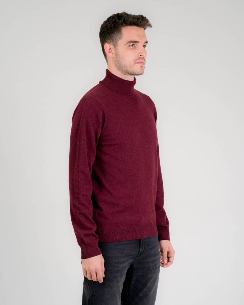 PULOVER BORDO GULER POLO 210241055233-5 03