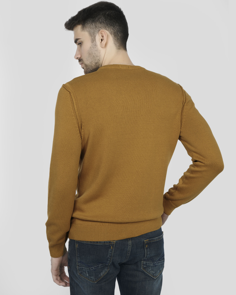 PULOVER GALBEN  GULER ROTUND 240208055379-4 09