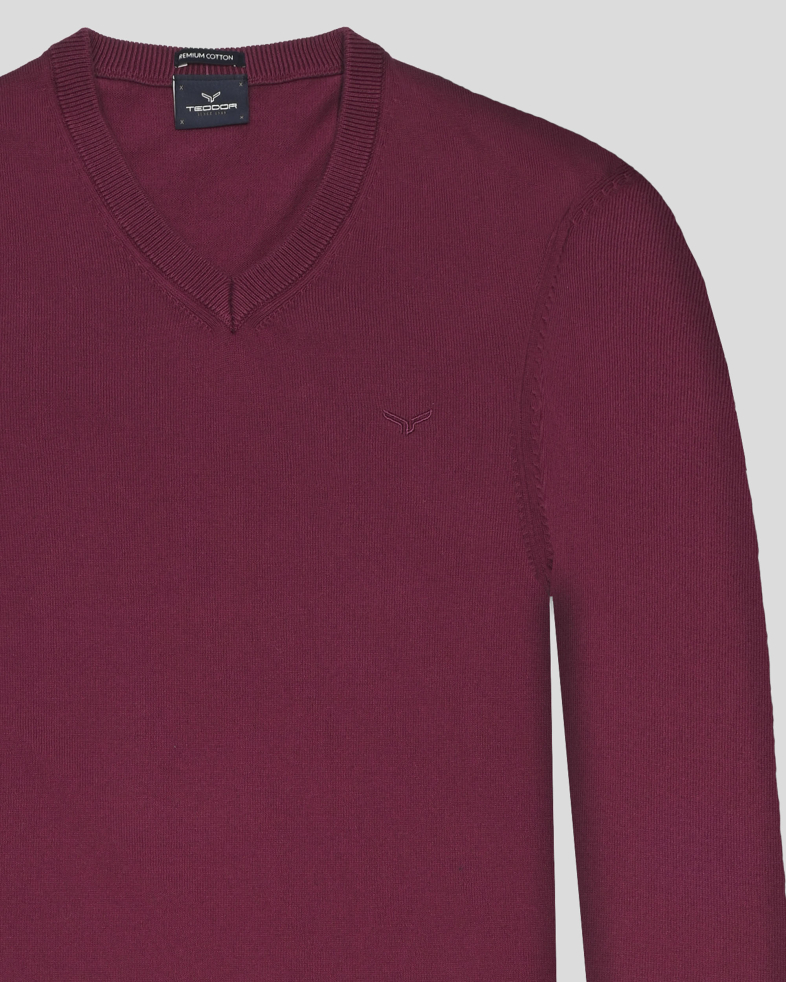 PULOVER BORDO GULER IN V 250108055391-11 05